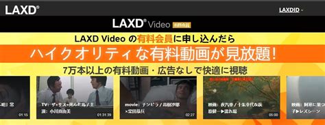 laxd安全|LAXD 